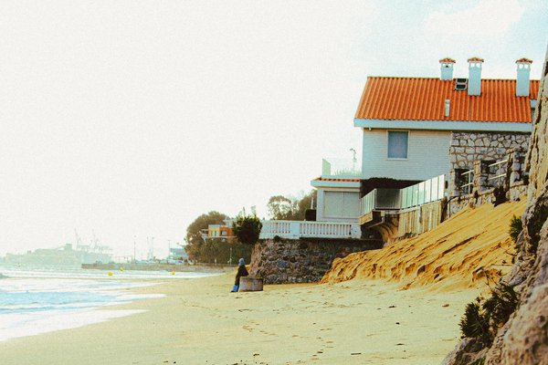 Safari avec les enfants : quelles options en France ?