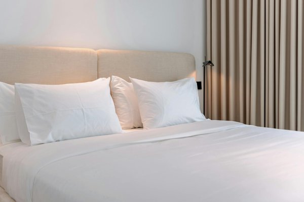 Les croisières en Antarctique: le voyage d'une vie