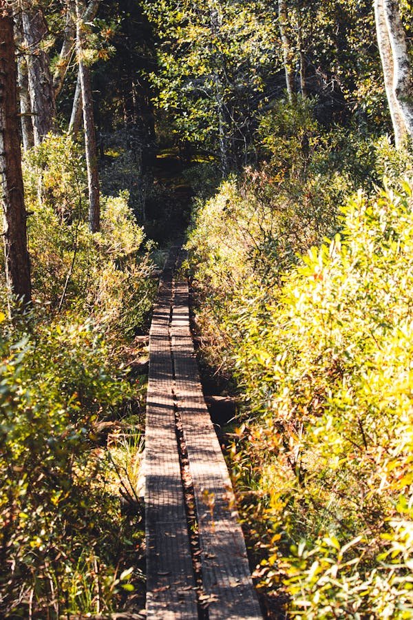 Les plus beaux sentiers de randonnée à explorer en france